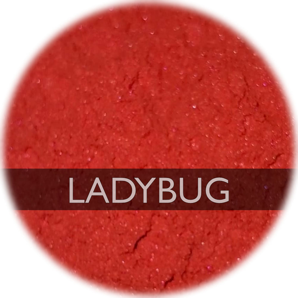 Ladybug - Mica