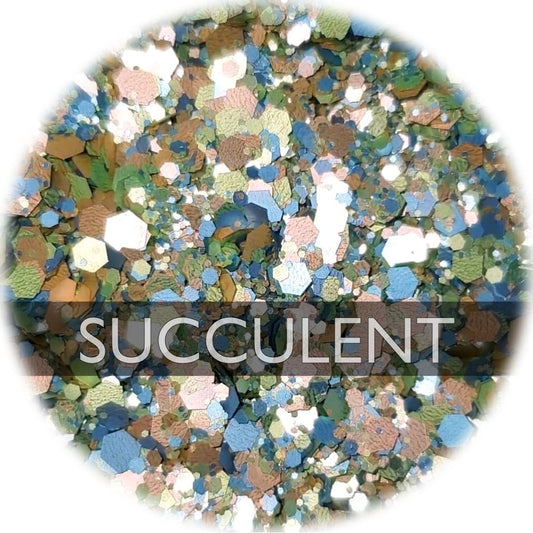 Succulent - Chunky Mix
